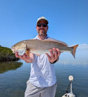 Crystal River redfish making the day complete!