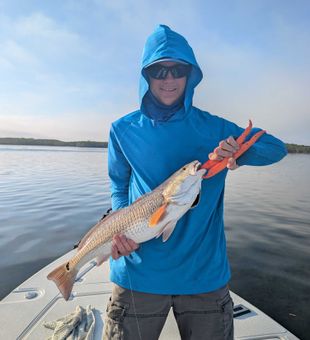 Nice Crystal River redfish makes the day complete!