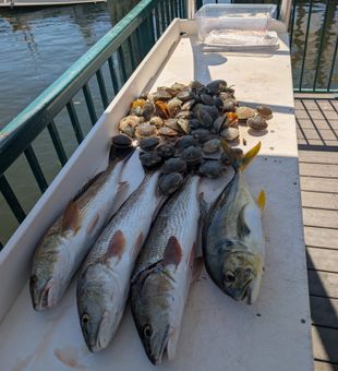 Crystal River redfish and crevalle jack with fresh shellfish!