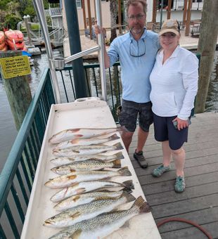 Crystal River speckled trout and redfish delivered!