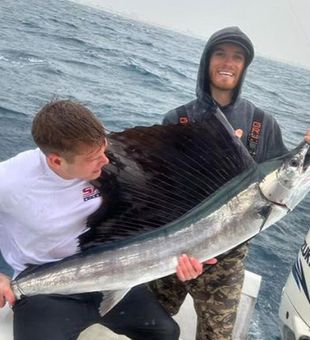 Sailfish Majesty, Florida Waters