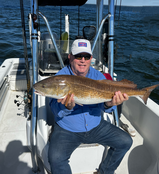 Catch of the day: a massive haul from the open waters.