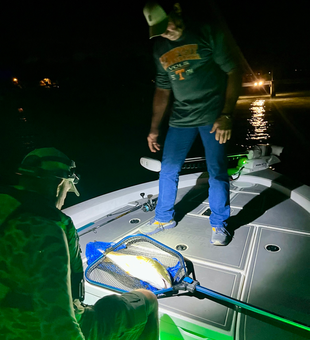 Great night out with jigging and fly fishing techniques paying off!