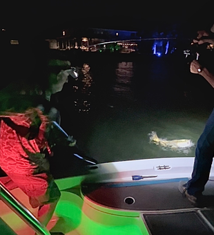 Great night session using jigging and fly fishing techniques near the dock lights!