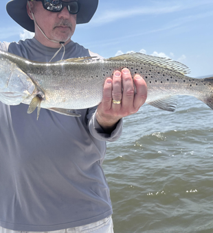 Reeled in a spotted weakfish today during an afternoon of varied fishing techniques at 281, Garcon Point Road.