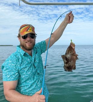 Grouper Caught in Cudjoe Key FL