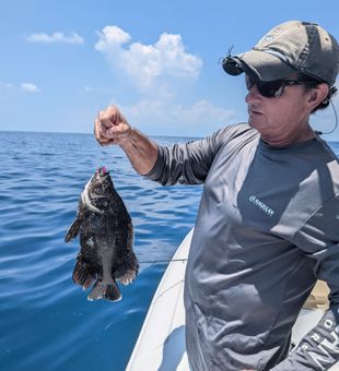 Triple Tail in Cudjoe Key