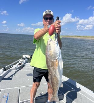Hooking into hard-fighting redfish in the marshes of Venice, Louisiana.