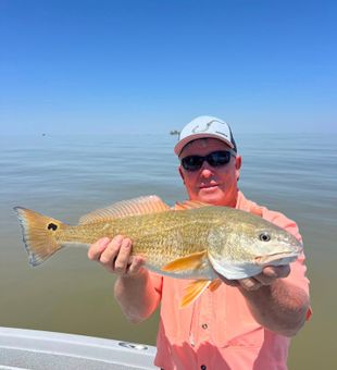 Bull Red Caught in Venice Waters