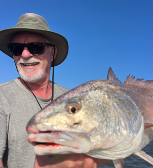 Beautiful Venice Louisiana redfish with perfect spotted pattern!