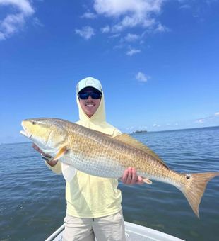 Massive redfish catch on inshore fishing trip