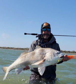 Amazing Black Drum! 