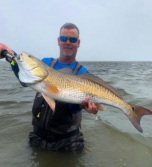 Trophy Red Drum! Join Us in Rockport!!