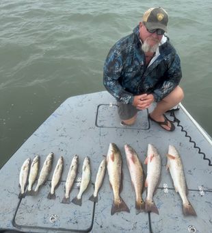Redfish and speckled trout delivered in Pleasanton TX!