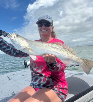 Beautiful speckled trout from Pleasanton TX waters!