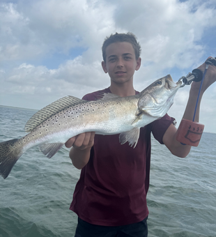 Beautiful Port Aransas speckled trout from today's trip!