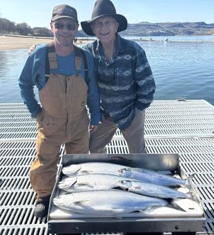 Salmon goals today