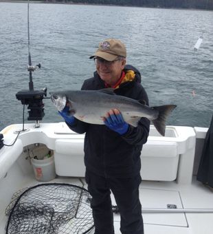 In pursuit of giants: Juneau's waters.