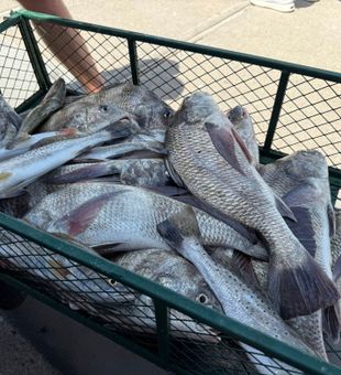 Fishing made simple and fun.