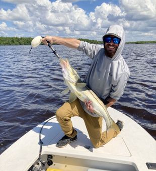 Snook Time! - Ochopee, FL.
