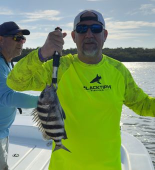 great winter Sheepshead bite