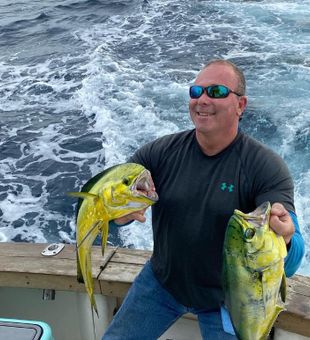 Mahi Mahi in Charleston, South Carolina
