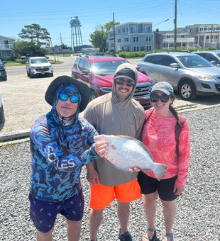 Coastal Catch Near Barnegat