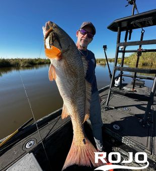 Fish on in the marsh