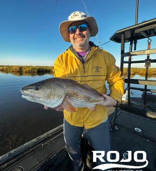 Redfish tail in Louisiana