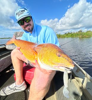 Redfish magic in Houma