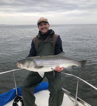 Chesapeake Fishing Charters Striped Bass Catch!