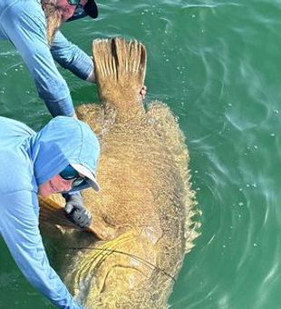 Inshore Fishing: Charlotte Harbor Treasures