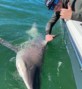 Florida Fishing Charters: Coastal Bliss