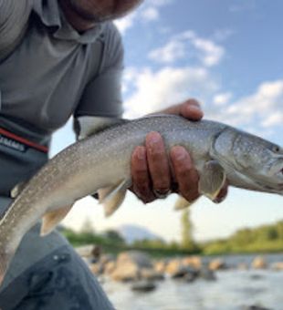 Trout Fishing Guides Of Alberta