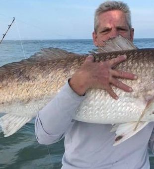 Red Drum Bounty In Chesapeake Bay