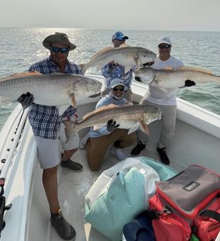 Striped Bass Fever! 