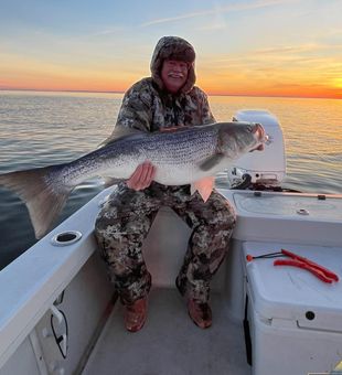 Striped bass: where fishing meets beauty!