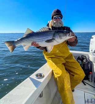 Striped bass: the OG of ocean stripes!