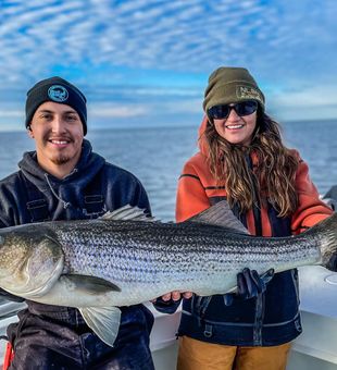 Striped bass: making anglers grin from fin to fin!