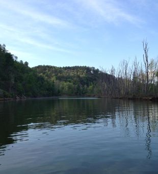 Nature is amazing out here in Beaver Lake!