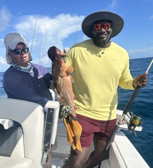 Solid grouper catch