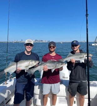 Striper fishing off Scituate Harbor