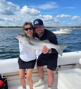 Bass bite strong in Scituate Bay