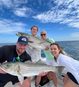 Striper run right off the coast