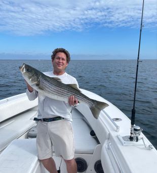 Big stripers, light tackle fun