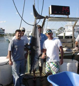 Deep sea fishing in Key west, Fl