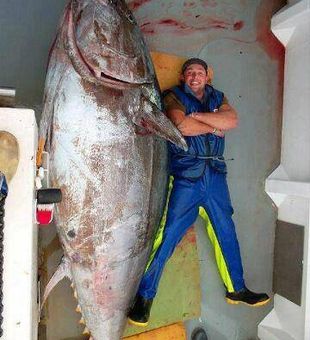 Tuna fishing charters in keys Florida