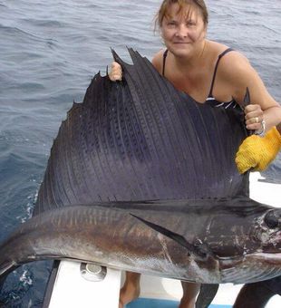 Impressive sailfish catch on calm blue waters.