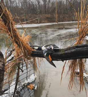 Our team provides top-notch support as your trusted Oklahoma waterfowl hunting guide.