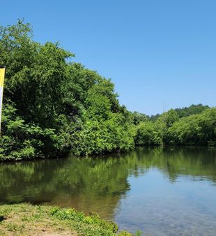 Expert-Guided Fishing in Georgia